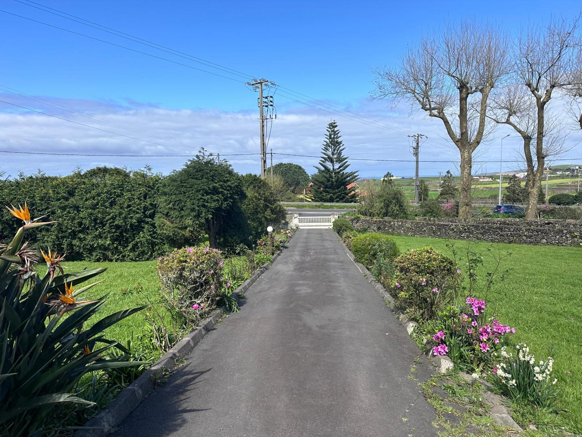 Quinta Relax Azores 大里贝拉 外观 照片